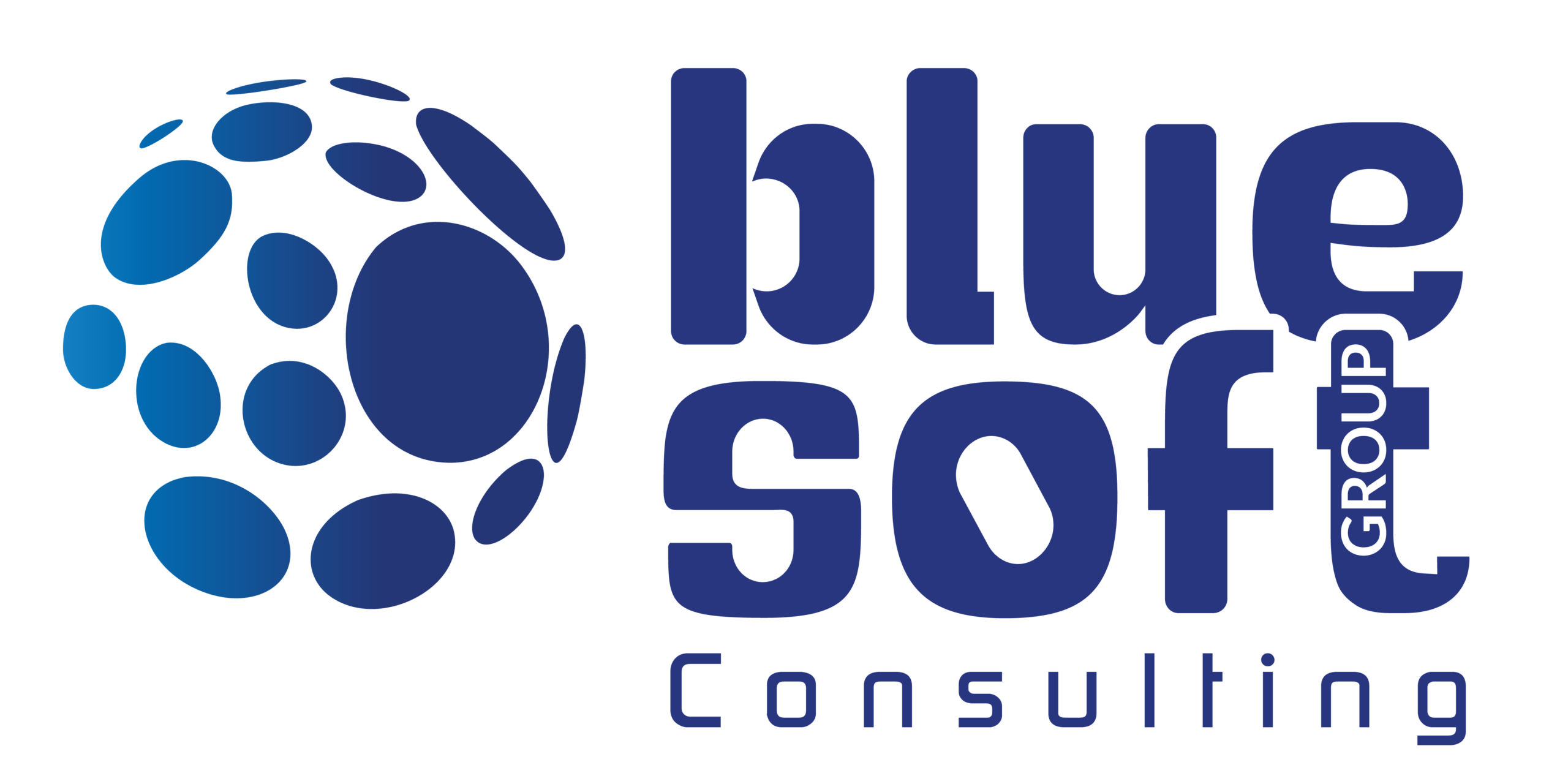 Blue Soft Consulting - Logo couleur